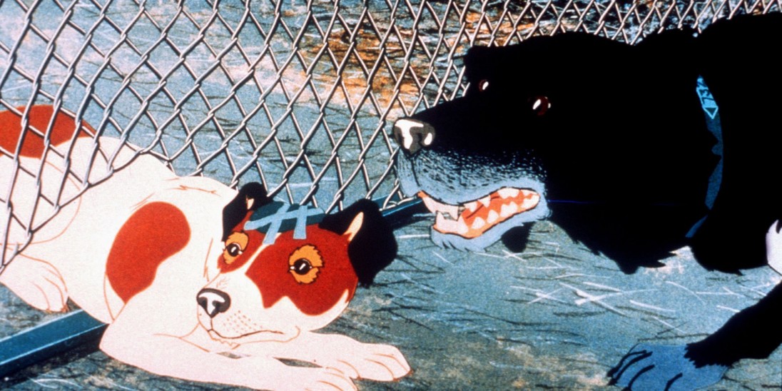 plague dogs the plague dogs into plague dogs the plague dogs into