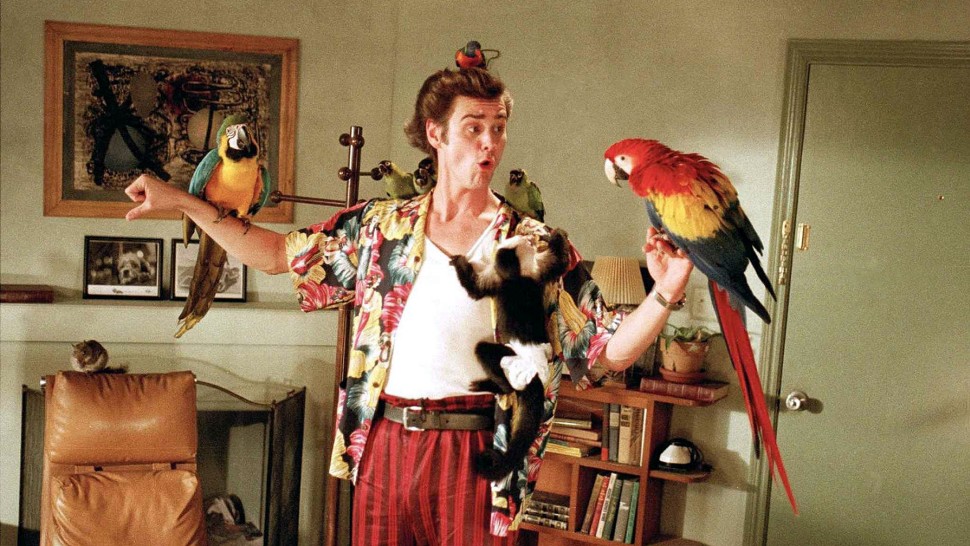 Ace Ventura: Pet Detective Full Movie In English Ace Ventura: Pet Detective Full Movie In English